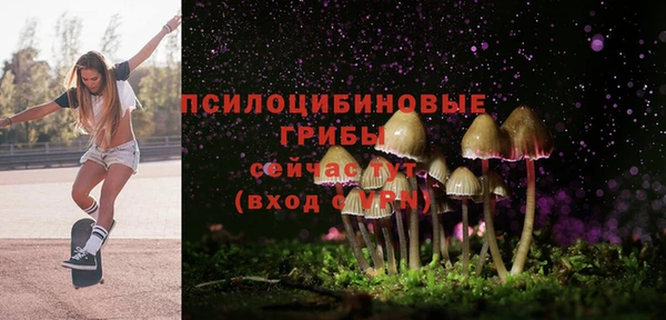 винт Армянск