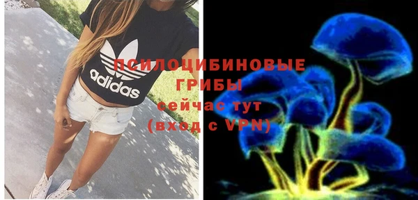 винт Армянск